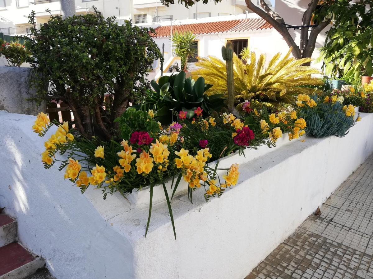 Apartamentos A Cerca Lagos Exterior foto